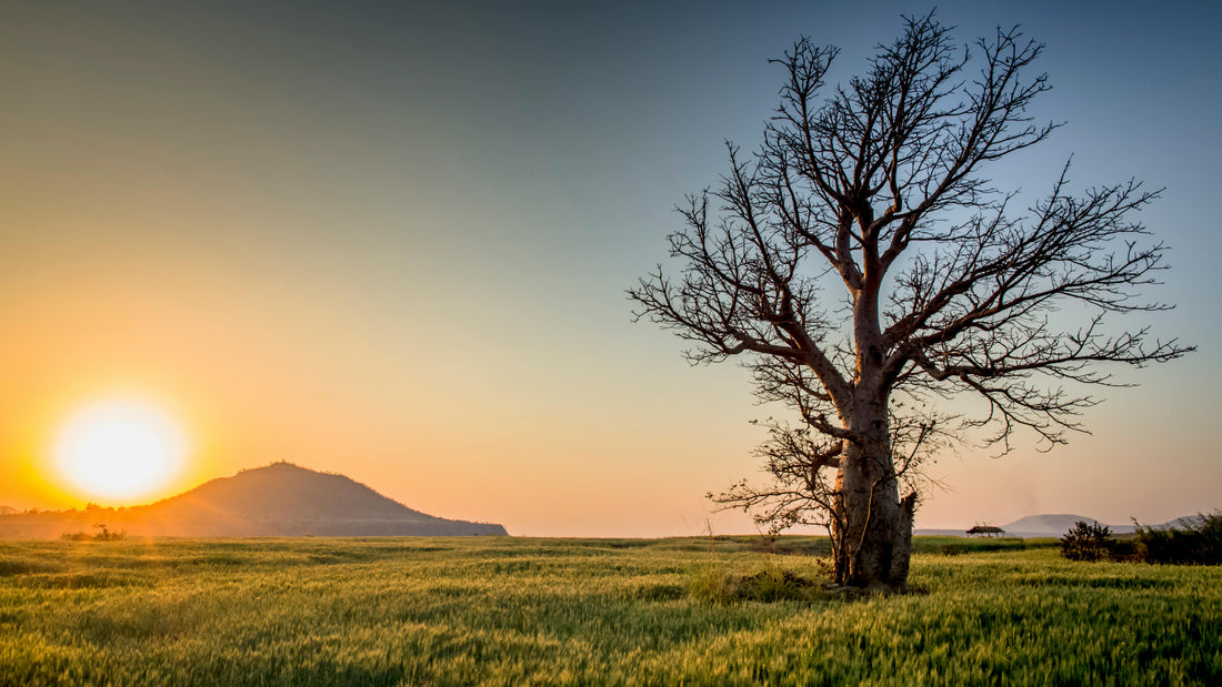 Caring for the Environment: Everyone’s Responsibility.