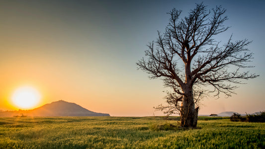 Caring for the Environment: Everyone’s Responsibility.