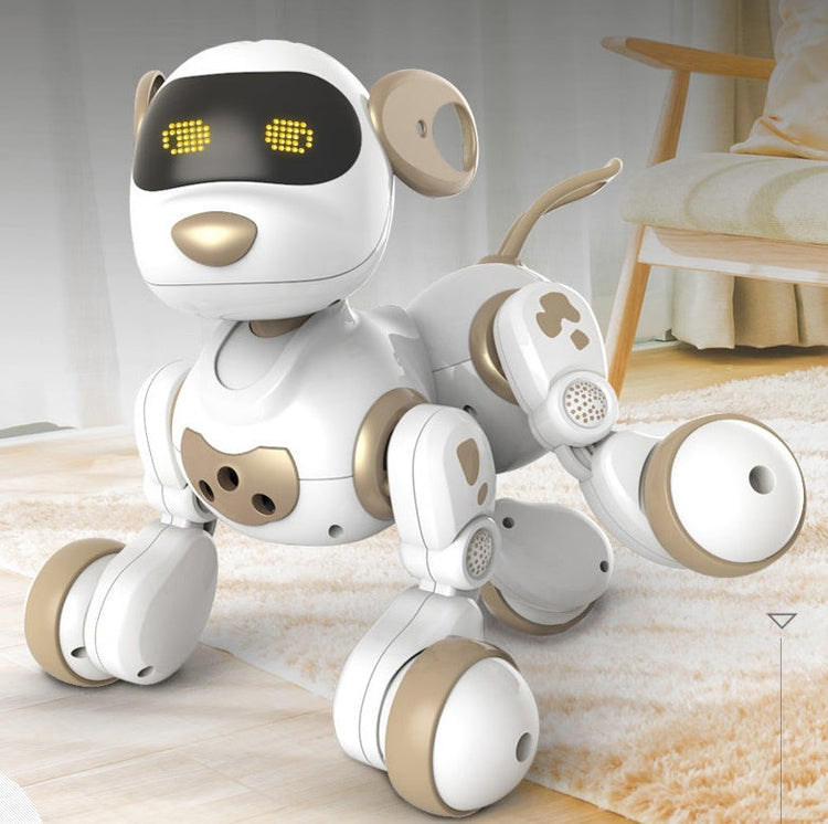 Control Robot