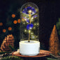 Creative 2 In 1 Rose Flowers LED Light And Bluetooth-compatible Speaker Valentine's Day Gift Rose Luminous Night Light Ornament In Glass Cover A&S Collection