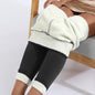 Winter Leggings Warm Thick High Stretch Lamb Cashmere Leggins Skinny Fitness Woman Pants A&S Collection