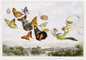 Animal Puzzle Craft Hub: A3 Size Creativity Kit for All Ages A&S Collection