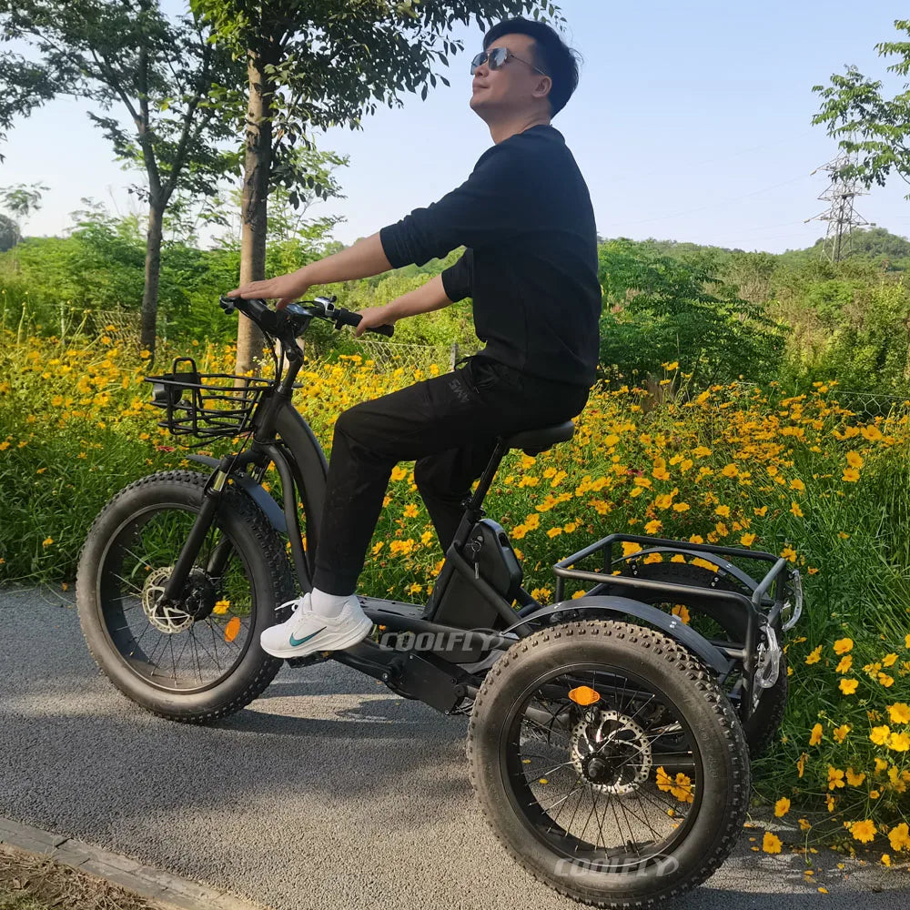 High Performance 48V 750W 1000W 24AH Wheels Tricycles 3 Wheel Electric Cargo Bike gsmFI