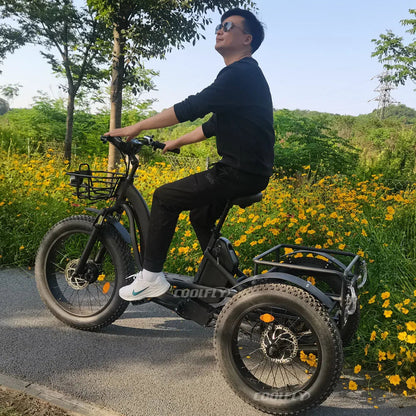 High Performance 48V 750W 1000W 24AH Wheels Tricycles 3 Wheel Electric Cargo Bike gsmFI