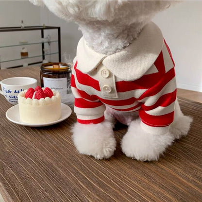 Pomeranian Poodle Small Dog Cat Dog Clothing A&S Collection
