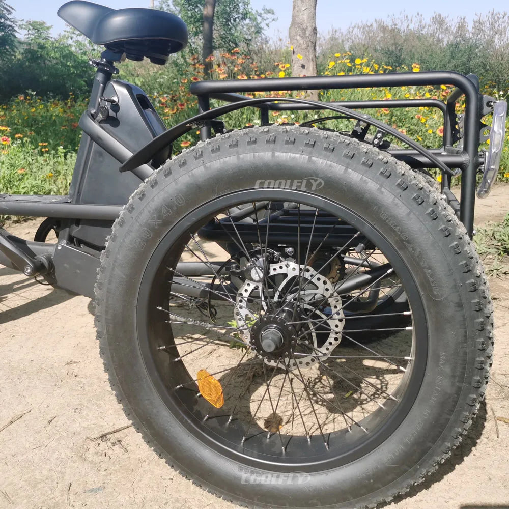 High Performance 48V 750W 1000W 24AH Wheels Tricycles 3 Wheel Electric Cargo Bike gsmFI