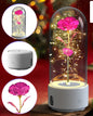 Creative 2 In 1 Rose Flowers LED Light And Bluetooth-compatible Speaker Valentine's Day Gift Rose Luminous Night Light Ornament In Glass Cover A&S Collection
