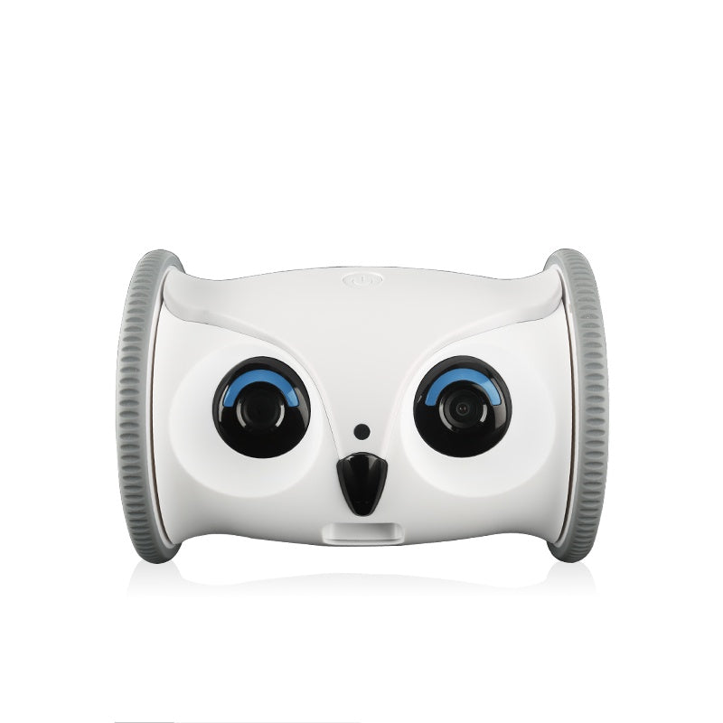 Intelligent Pet Companion Robot With Automatic Feeder