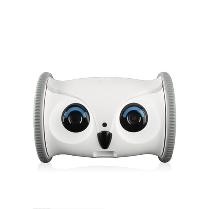 Intelligent Pet Companion Robot With Automatic Feeder
