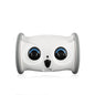 Intelligent Pet Companion Robot With Automatic Feeder