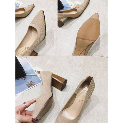 Pointed Shoes Light Temperature Shoes High Heels Thick Heels CJNS1134683