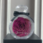 Natural Eternal Flower Ornaments Transparent Cover Dried Rose Gift Box For Christmas New Year Valentine's Day Home Decor A&S Collection