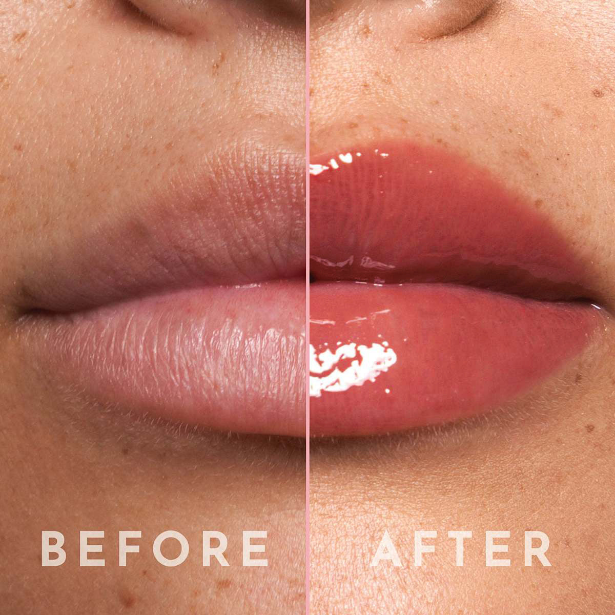 PHOFAY Rose Blooming Hydrating Lip Gloss A&S Collection