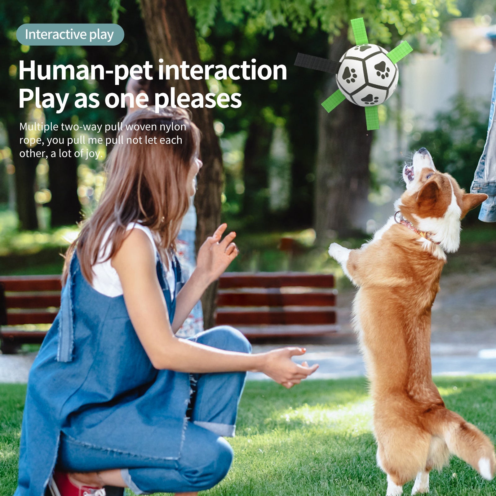 Interactive Dog Football Toy Soccer Ball Inflated Training Toy For Dogs Outdoor Border Collie Balls For Large Dogs Pet Supplies A&S Collection