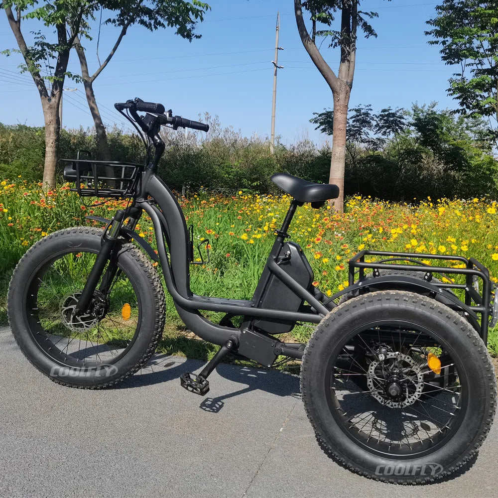 High Performance 48V 750W 1000W 24AH Wheels Tricycles 3 Wheel Electric Cargo Bike gsmFI