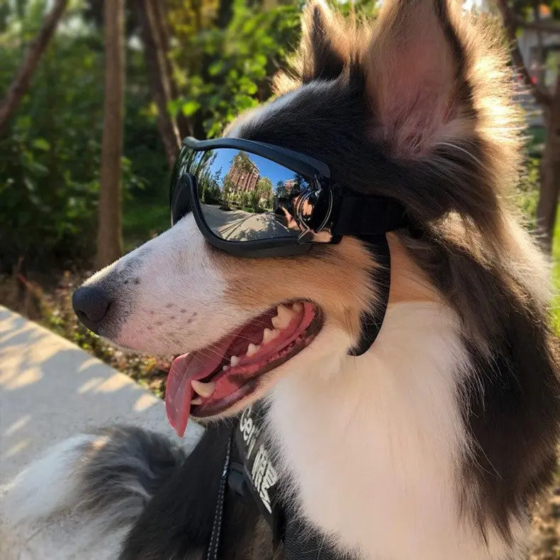 Dog glasses A&S Collection