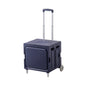 Household Portable Folding Supermarket Trolley CJ