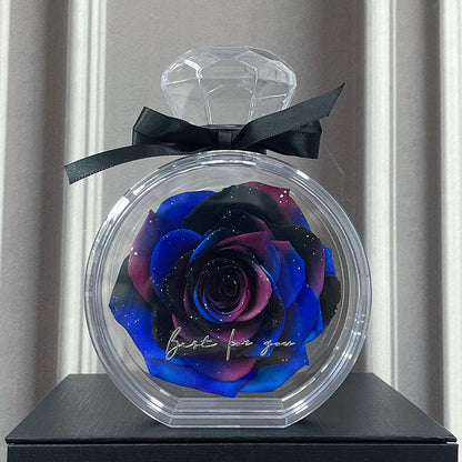 Natural Eternal Flower Ornaments Transparent Cover Dried Rose Gift Box For Christmas New Year Valentine's Day Home Decor A&S Collection