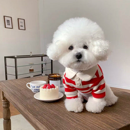Pomeranian Poodle Small Dog Cat Dog Clothing A&S Collection