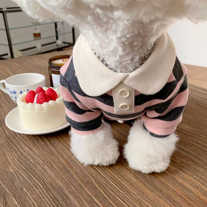 Pomeranian Poodle Small Dog Cat Dog Clothing A&S Collection