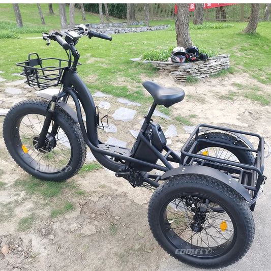 High Performance 48V 750W 1000W 24AH Wheels Tricycles 3 Wheel Electric Cargo Bike gsmFI