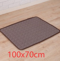 Ice Silk Cooling Pet Pad CJ