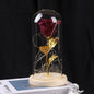 Valentines Day Gift  For Girlfriend Eternal Rose Flowers LED Light In Glass Cover Day Wedding Decoration Favors Mother Day Female Gift  Gift A&S Collection