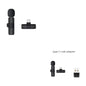 Dual Wireless Lavalier Microphone - Perfect for Outdoor Use with Crystal-Clear Audio CJ