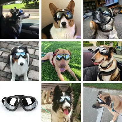 Dog glasses A&S Collection