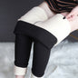 Winter Leggings Warm Thick High Stretch Lamb Cashmere Leggins Skinny Fitness Woman Pants A&S Collection