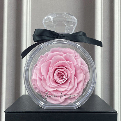 Natural Eternal Flower Ornaments Transparent Cover Dried Rose Gift Box For Christmas New Year Valentine's Day Home Decor A&S Collection