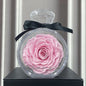 Natural Eternal Flower Ornaments Transparent Cover Dried Rose Gift Box For Christmas New Year Valentine's Day Home Decor A&S Collection