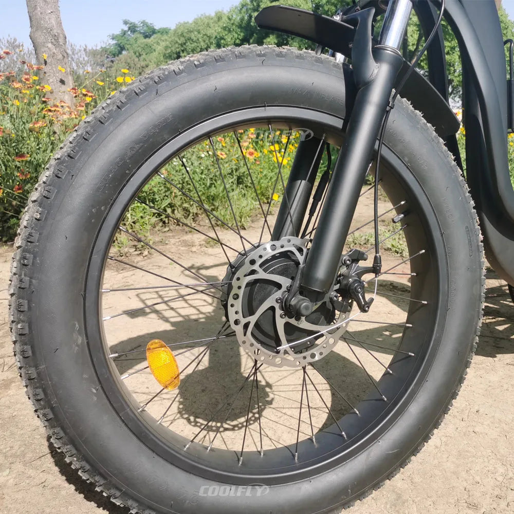 High Performance 48V 750W 1000W 24AH Wheels Tricycles 3 Wheel Electric Cargo Bike gsmFI