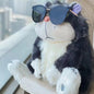 Cute Collection - Lucky Cat A&S Collection