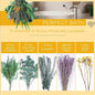 **Elegant eucalyptus lavender stems—refresh your shower decor naturally.** CJ