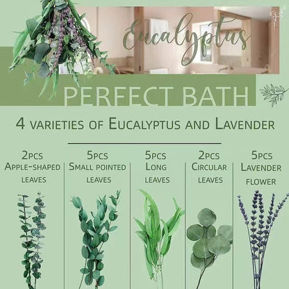 **Elegant eucalyptus lavender stems—refresh your shower decor naturally.** CJ