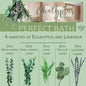 **Elegant eucalyptus lavender stems—refresh your shower decor naturally.** CJ