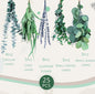 **Elegant eucalyptus lavender stems—refresh your shower decor naturally.** CJ