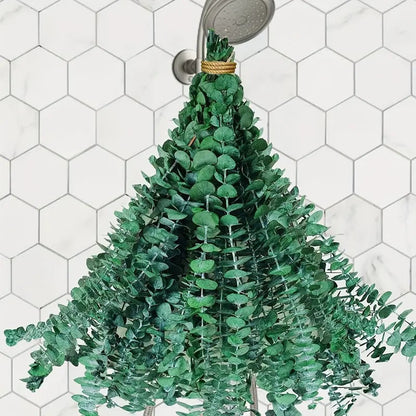 **Elegant eucalyptus lavender stems—refresh your shower decor naturally.** CJ