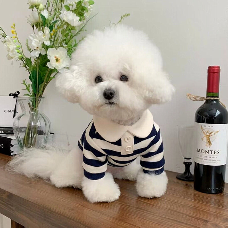 Pomeranian Poodle Small Dog Cat Dog Clothing A&S Collection