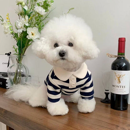 Pomeranian Poodle Small Dog Cat Dog Clothing A&S Collection