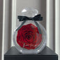 Natural Eternal Flower Ornaments Transparent Cover Dried Rose Gift Box For Christmas New Year Valentine's Day Home Decor A&S Collection