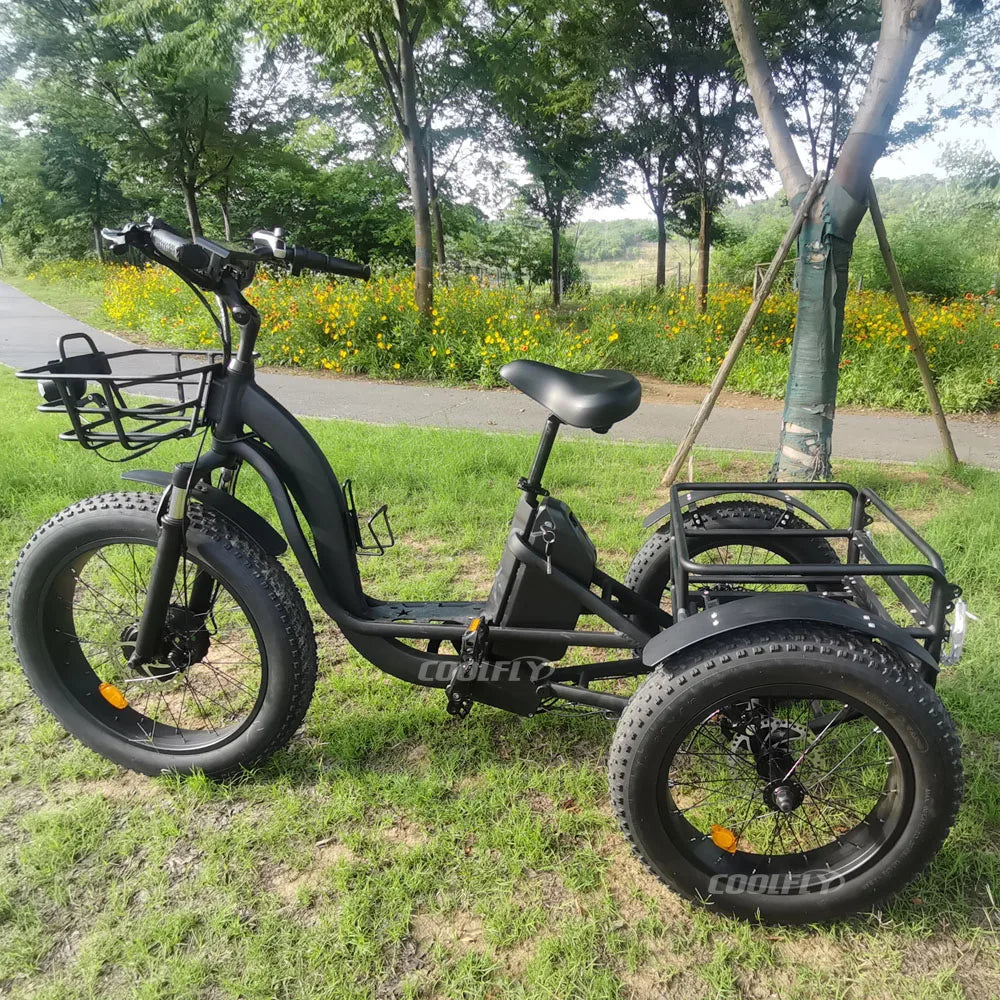 High Performance 48V 750W 1000W 24AH Wheels Tricycles 3 Wheel Electric Cargo Bike gsmFI