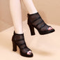Best Mesh Shoes for Women | Thick Heel High Heels – Shop Now CJNS1272194