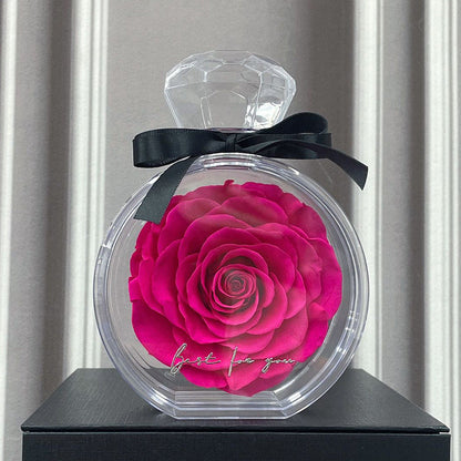 Natural Eternal Flower Ornaments Transparent Cover Dried Rose Gift Box For Christmas New Year Valentine's Day Home Decor A&S Collection