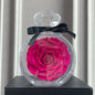 Natural Eternal Flower Ornaments Transparent Cover Dried Rose Gift Box For Christmas New Year Valentine's Day Home Decor A&S Collection