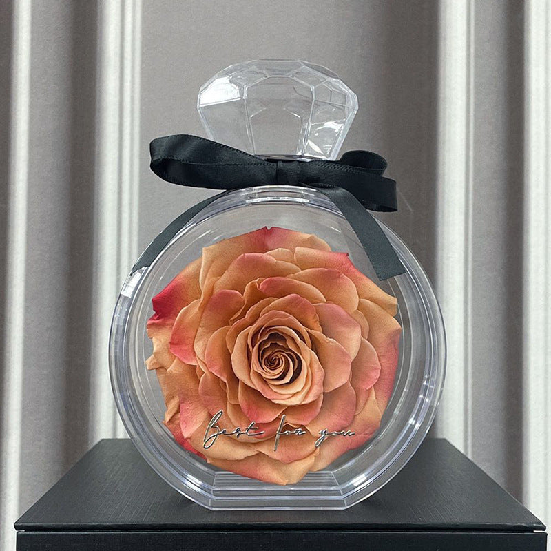 Natural Eternal Flower Ornaments Transparent Cover Dried Rose Gift Box For Christmas New Year Valentine's Day Home Decor A&S Collection