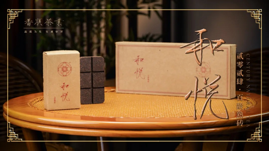 2024 He Yue Bai Ling Aged Pu-erh Brick A&S Collection
