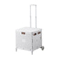 Household Portable Folding Supermarket Trolley CJ