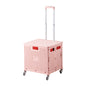 Household Portable Folding Supermarket Trolley CJ